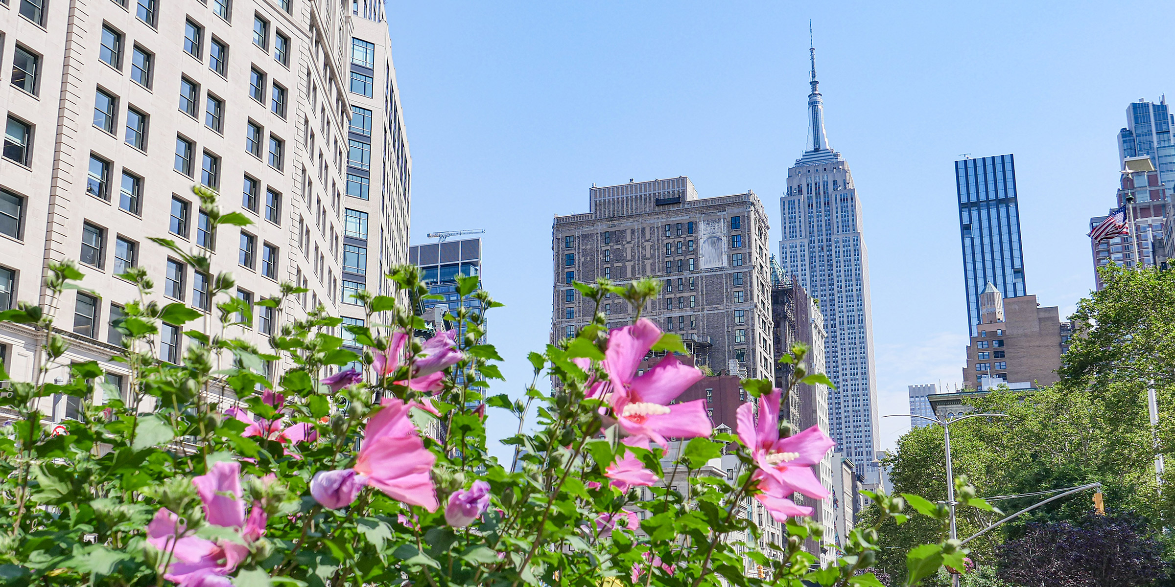 Empire State Building View in front of flowered bush
